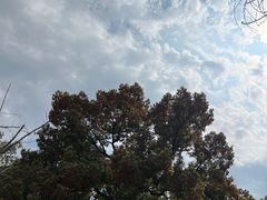 -长沙市青少年宫