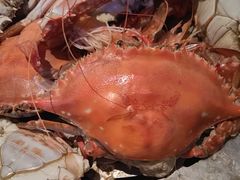 -半岛听涛蒸汽海鲜自助(K11店)