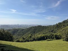 -敬亭山风景名胜区