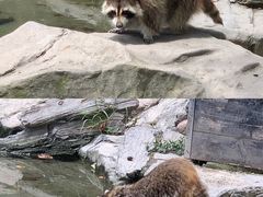 -上海野生动物园