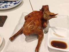 -侨美·唐荔园·40年地道粤菜