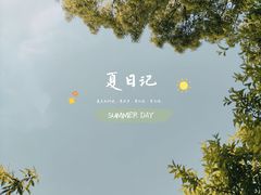 -上海共青森林公园