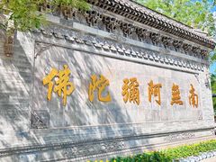 -大槐树寻根祭祖园