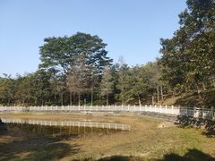 -燕子岭公园