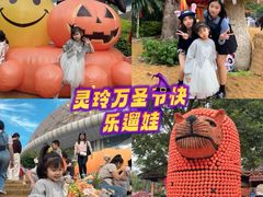 -灵玲国际马戏城
