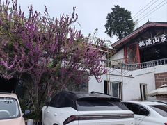 -桃源山庄·水蜜桃采摘·柴火鸡·烧烤团建(龙泉山店)