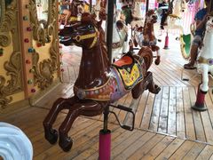 iphone_upload_pic-厦门方特梦幻王国