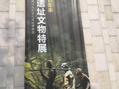 -嘉定博物馆