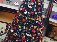 -红宝石·鲜奶小方(曲阳店)