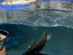 -太平洋海底世界