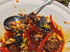 -院里寻菜·精致庭院菜(观沙岭店)