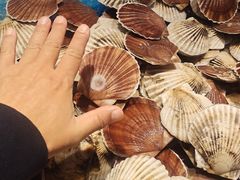 -乔哥铭洋海鲜自助(皇城恒隆广场店)