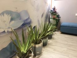 -御品•瑶浴灸疗SPA