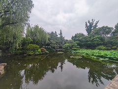 -秋霞圃
