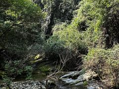 -西安金龙峡风景区