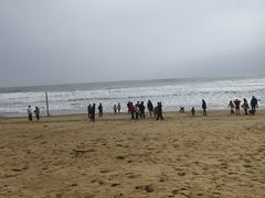 -东海岛旅游度假区