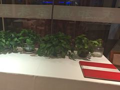 -天和晟新京菜.水煮鱼.湘土菜(国展店)