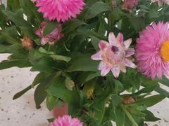 -外婆小聚茶餐厅·生日·团建(市民中心店)