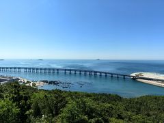 -星海湾跨海大桥