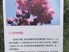 -堤角公园