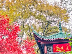 -岳麓山风景名胜区