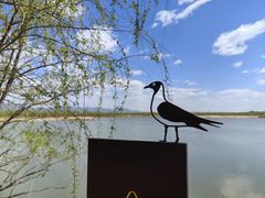 -野鸭湖国家湿地公园