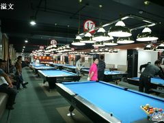-新新潘晓婷台球俱乐部(周浦店)