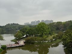 -东莞植物园