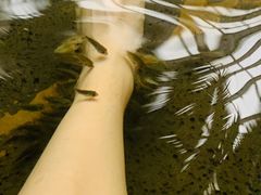 -龙达温泉生态城