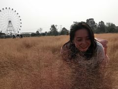 -金卉庄园