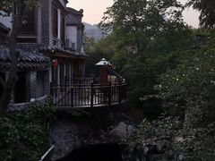 -老张烤羊(王哥庄店)