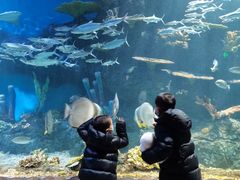 -华夏文旅海洋公园