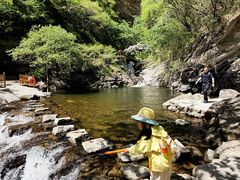 -少华山国家森林公园