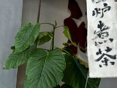 -成川茶店·潮汕工夫浓茶(万象店)