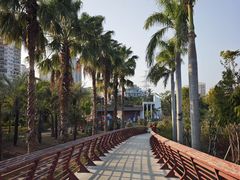 -金鸡岭桥头公园