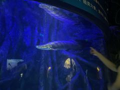 -江和美海洋公园