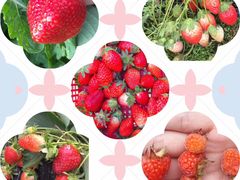 -泉州海丝野生动物世界