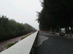 -宝安西湾红树林湿地公园