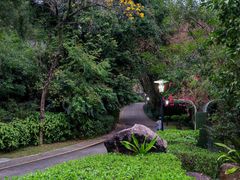 -深圳国际园林花卉博览园