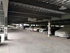 -上海植物园·停车场