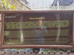 -呀路古热带植物园