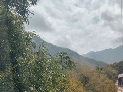 -朱雀国家森林公园