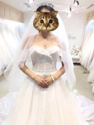 -乔伊婚纱