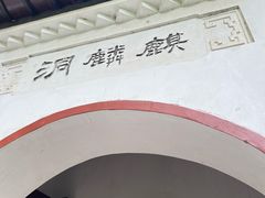 -黔灵山公园