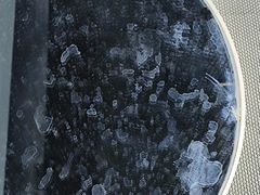 -上海浦东滨江喜来登酒店