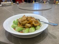 -新锦鸿(演达店)