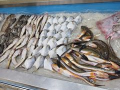 -鑫渔港海鲜本地菜·山海关浑锅(东戴河店)