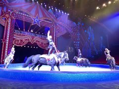 -珠海横琴长隆《卡卡虎奇遇记》