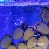 长沙探店｜老长沙人才能找到的老牌海鲜店🦀️