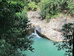 -广州白江湖森林公园